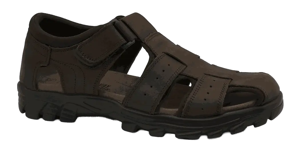 HXZ2230P01.webp