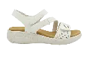 IRA-7-White.webp