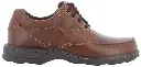 Randall II Chestnut.webp