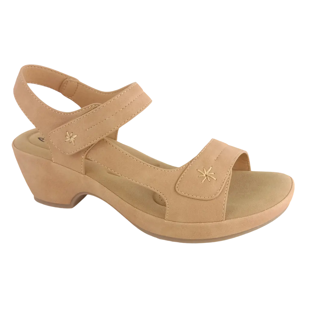 IRB71 CAMEL.webp