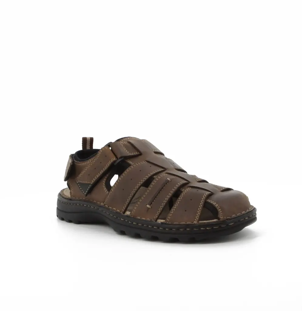 HP BIG FOOT