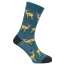CSSD2 - SEXY SOCKS