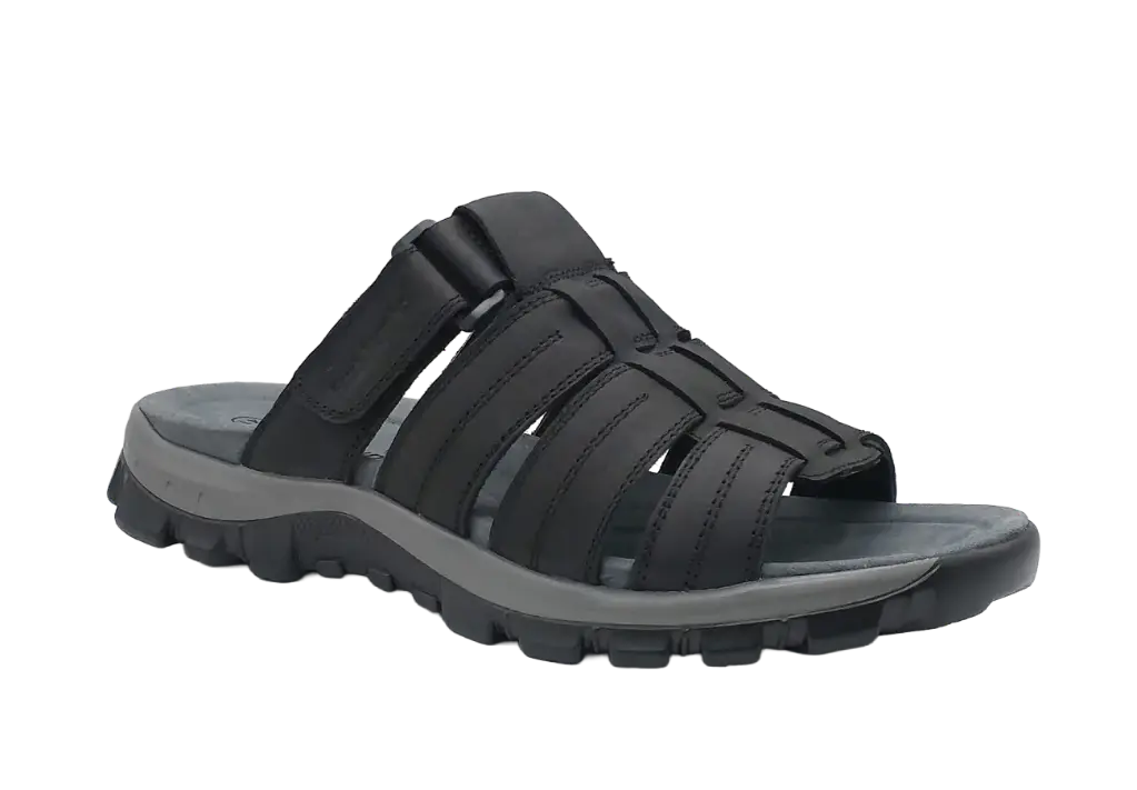 Mule 1