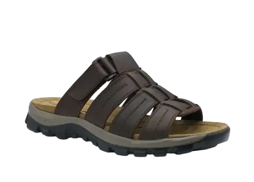 Mule 1